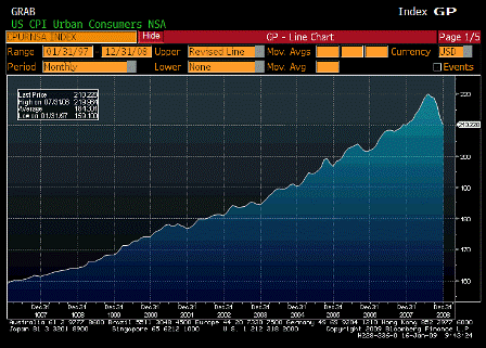 2009-01-16 Consumer Price Index NSA