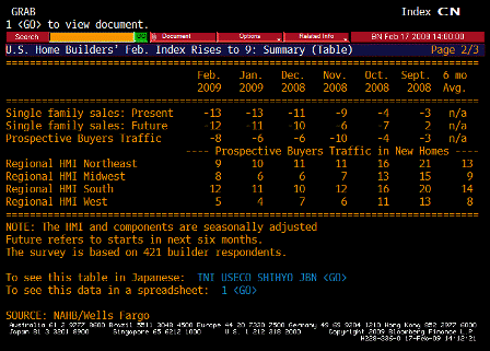 2009-02-17 NAHB Housing Market Index TABLE 2